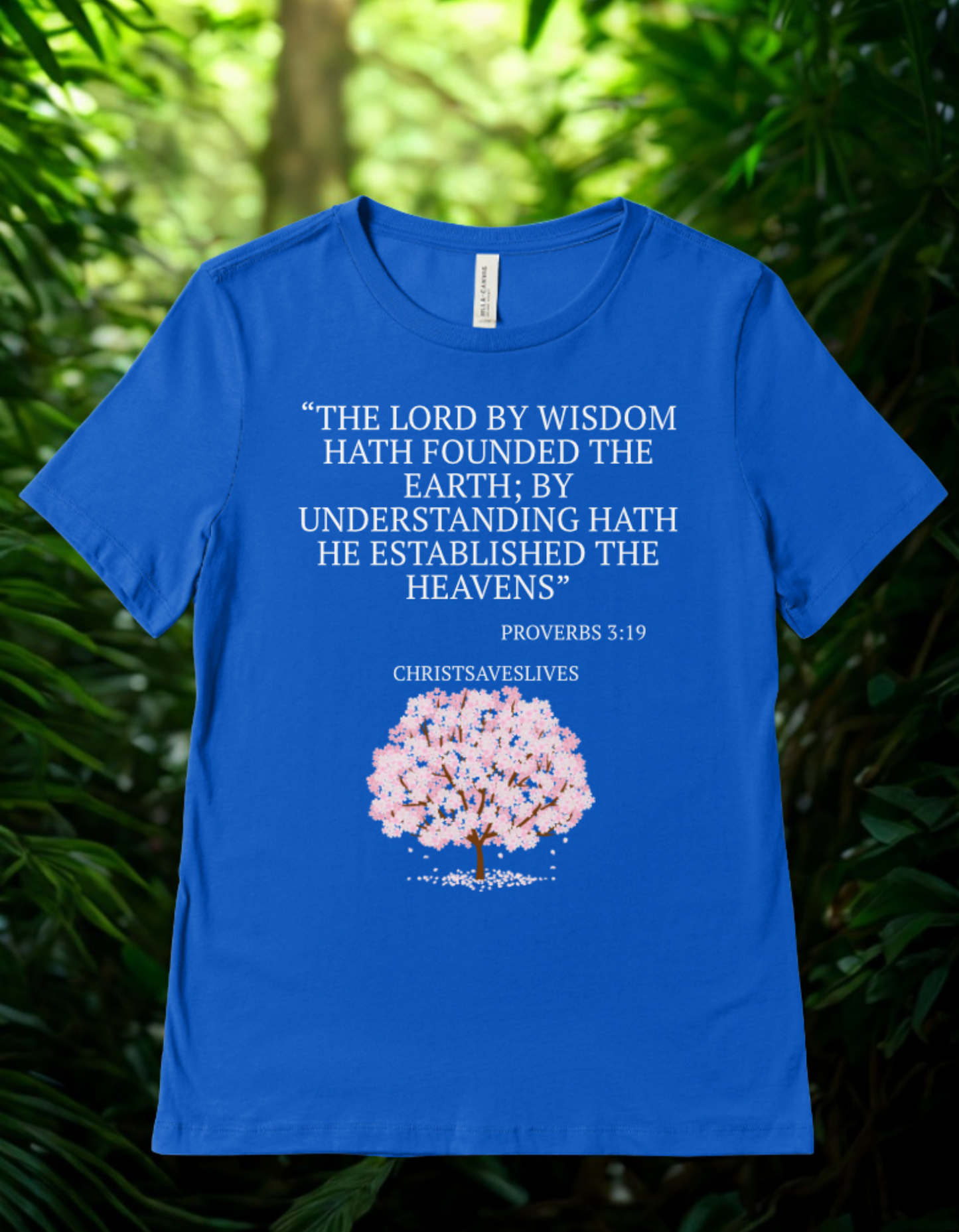 Women’s Organic Cotton T-Shirt - Proverbs 3:19